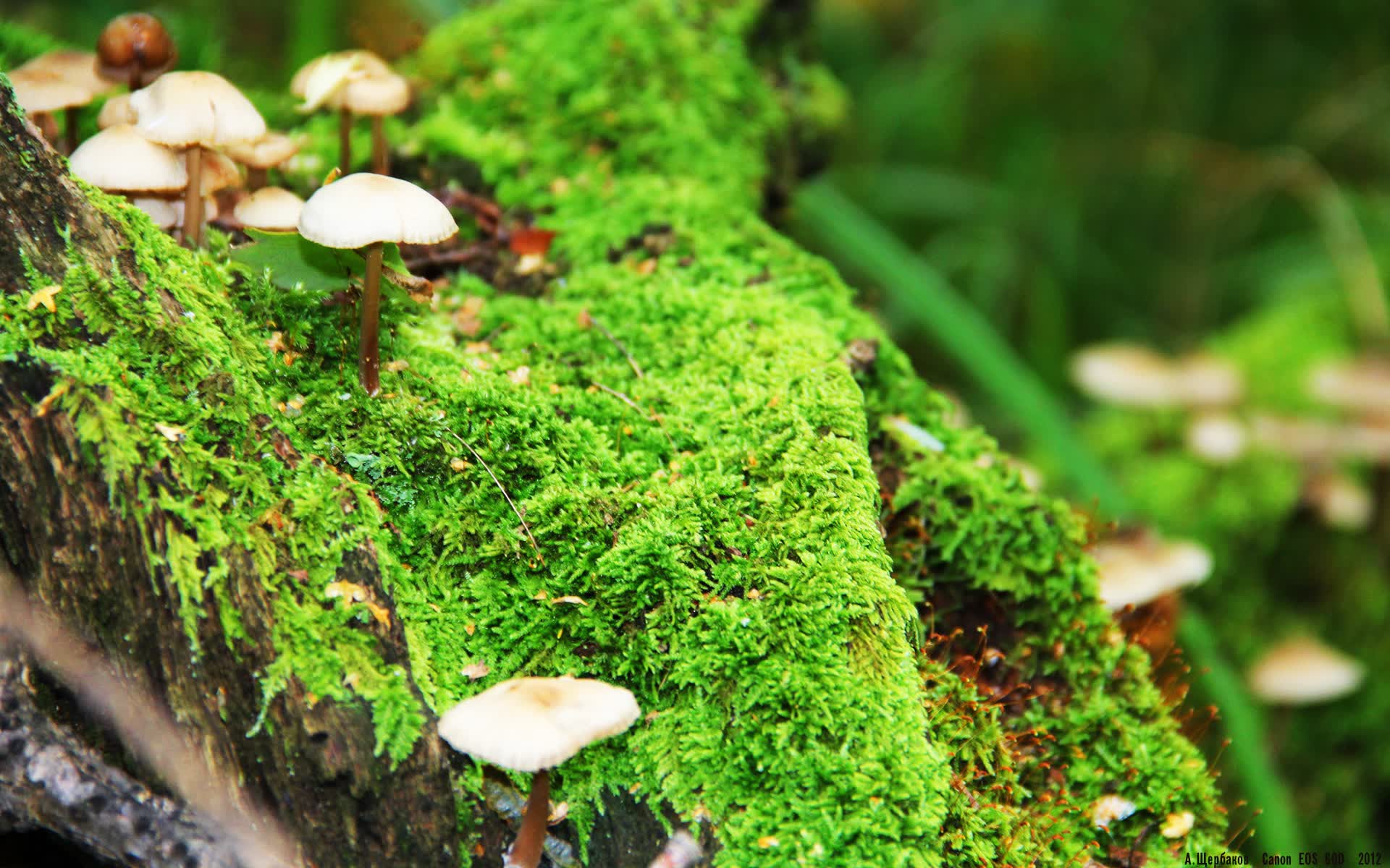 世界举重锦标赛反兴奋剂宣传片上线，世界举重青年锦标赛